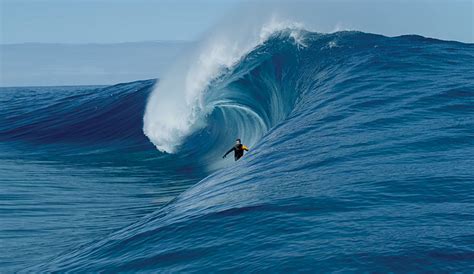 kerby brown surfer.